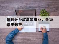 星空体育APP-葡萄牙不敌塞尔维亚，晋级希望渺茫